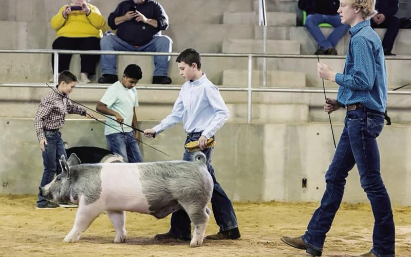 Scenes From Local Show
