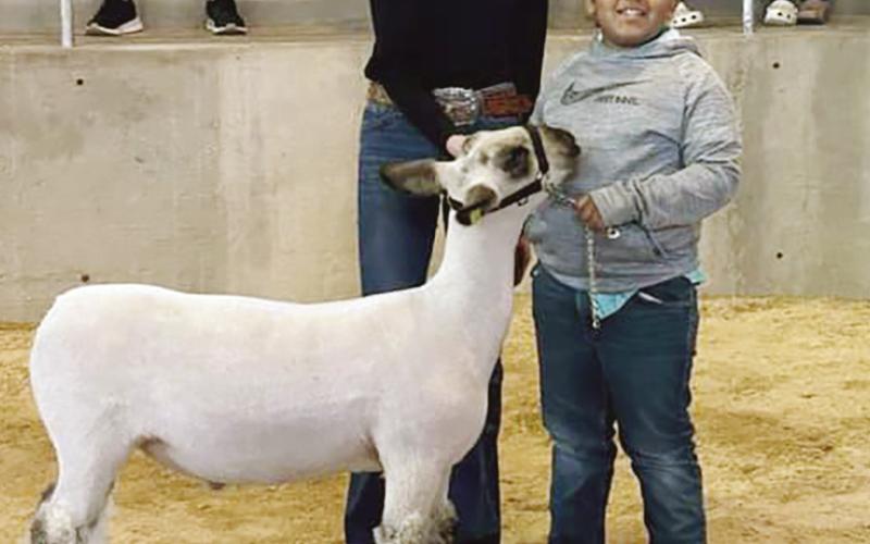 Scenes From Local Show