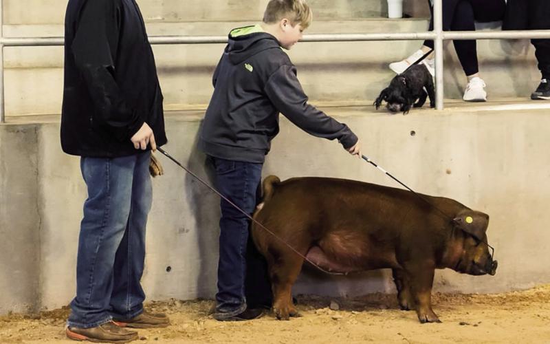 Scenes From Local Show