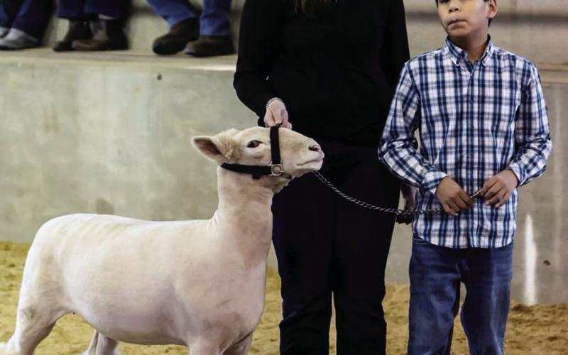 Scenes From Local Show