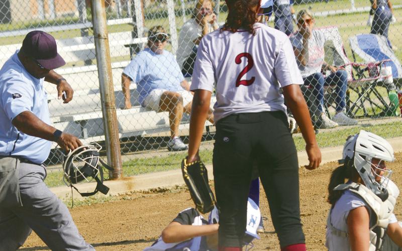 Softball Season Hits the Field