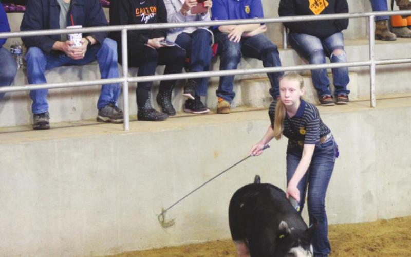 Blaine County Fair Planned