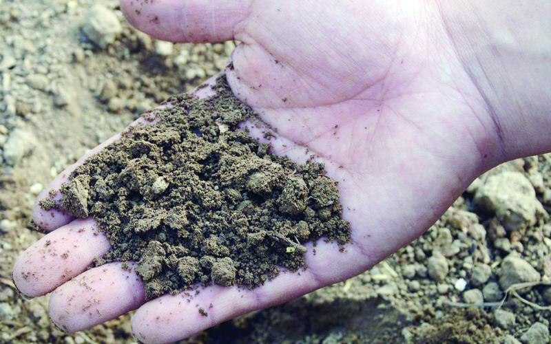 National Range and Land Judging Held at El Reno
