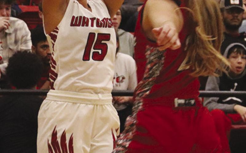 Eagle Teams Start off Season with 1-1 Records