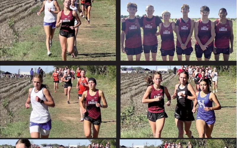 Eagles Cross Country Heads to State!