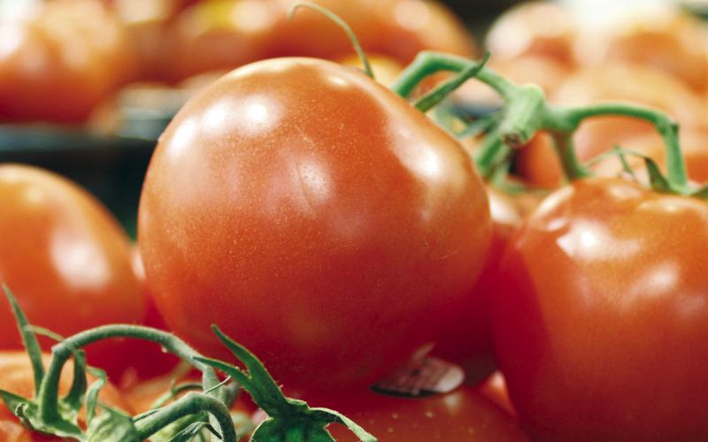 Apply Now for Local Foods for Schools