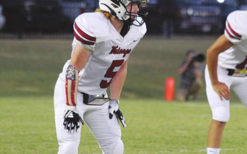 Athlete Spotlight: The Ginger File