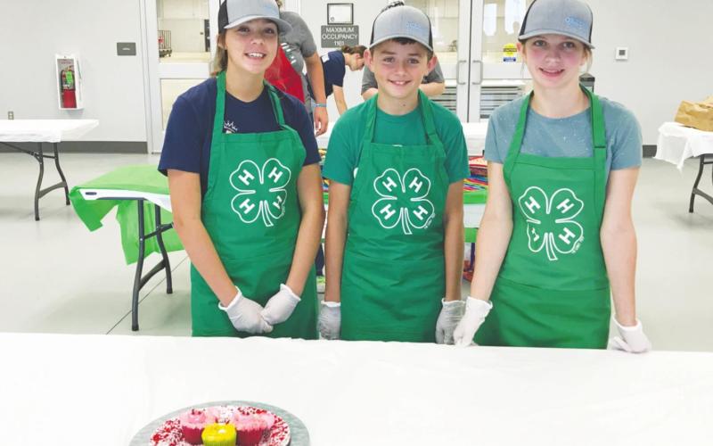 4-H Food Show Down and Cupcake Wars