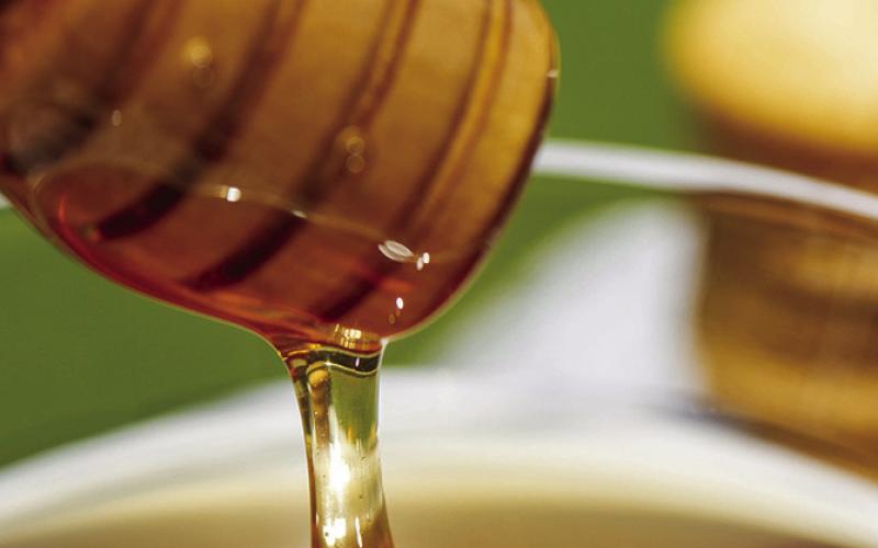 Does local honey alleviate allergies?