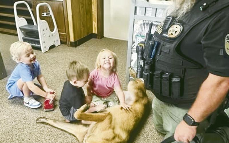 Busy Days at Canton Public Schools