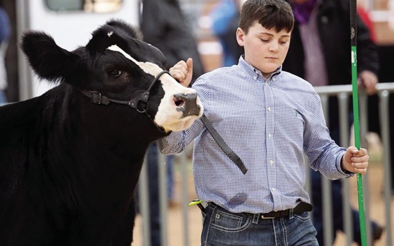 Calumet Kids Clean Up at Livestock Show