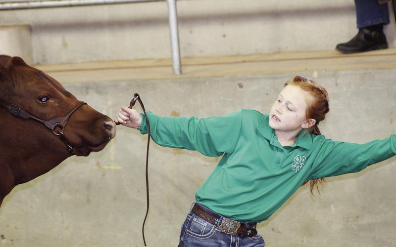 Celebrating Stock Shows Past