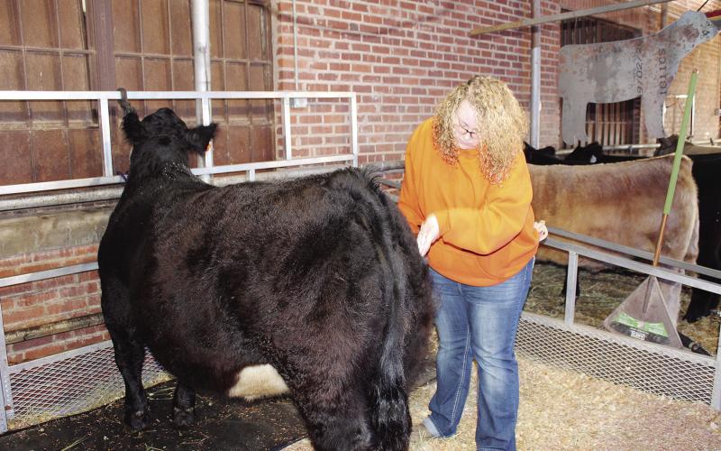 Celebrating Stock Shows Past