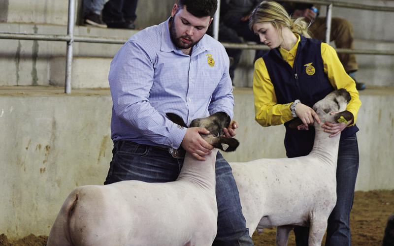 Celebrating Stock Shows Past