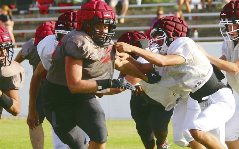Bison Scrimmage