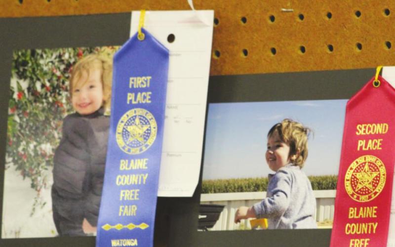 Fair Showcases Best of Local Livestock, Agriculture and Beyond