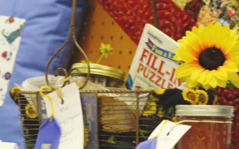 Fair Showcases Best of Local Livestock, Agriculture and Beyond