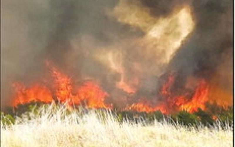 Countywide Burn Ban Remains in Effect