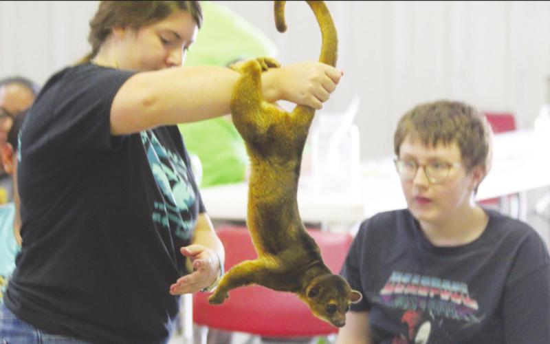 Geary Summer Reading Program Sees ‘Extreme Animals’