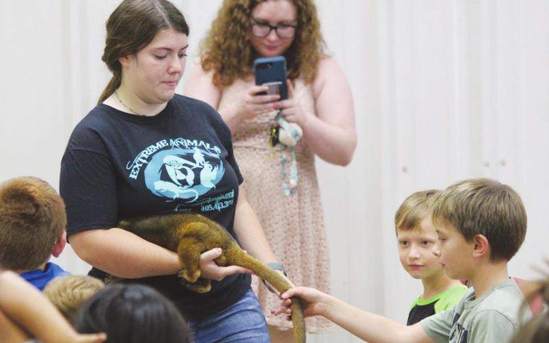 Geary Summer Reading Program Sees ‘Extreme Animals’
