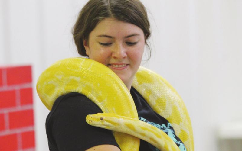 Geary Summer Reading Program Sees ‘Extreme Animals’