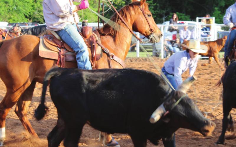 Walleye Rodeo