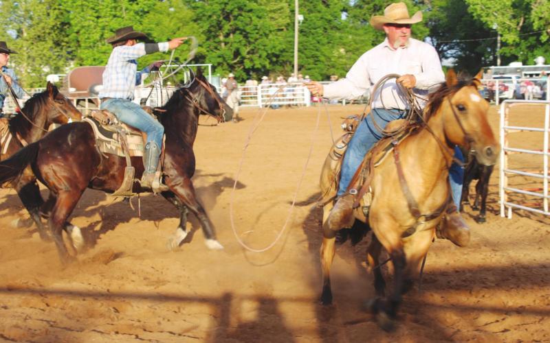 Walleye Rodeo