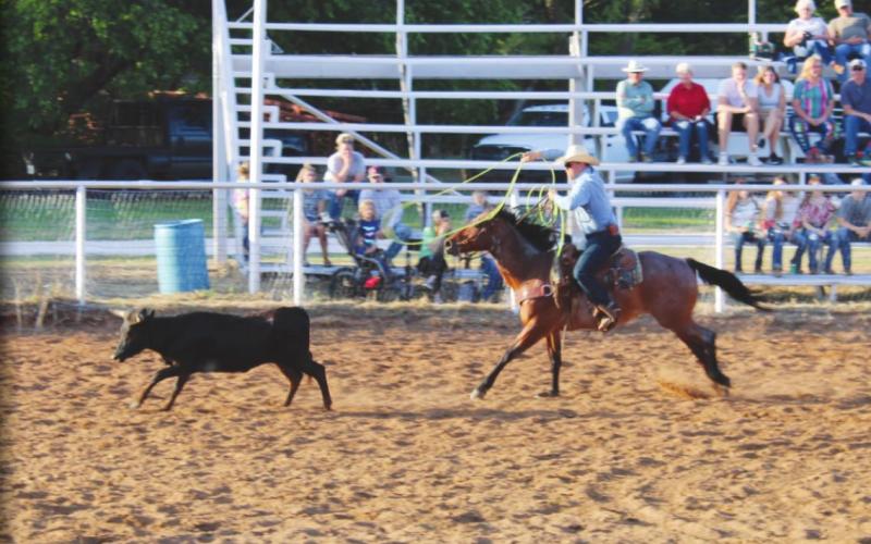 Walleye Rodeo
