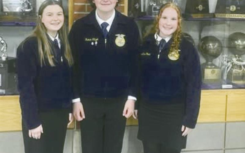 ESports, FFA and Living Wax Museum
