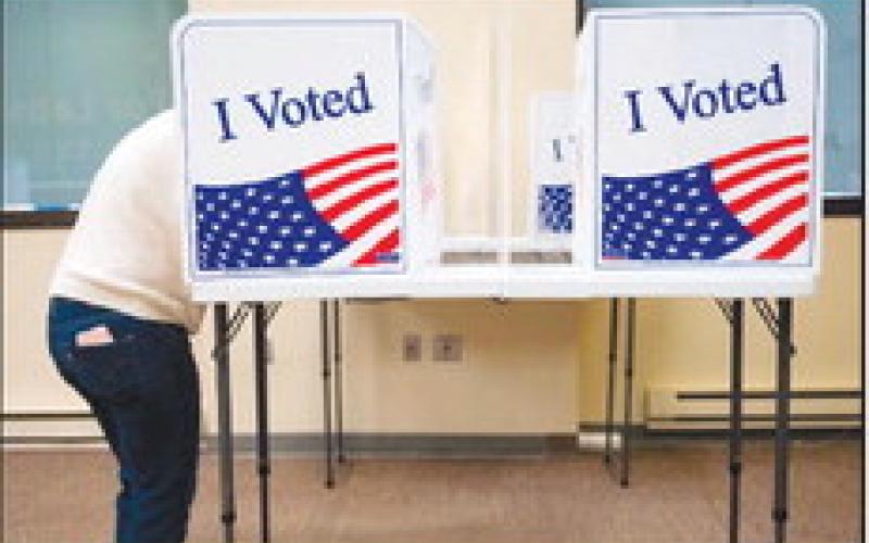 Voters Go to the Polls Next Week