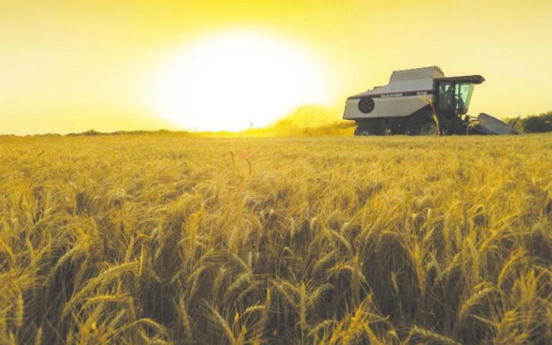 Wheat Harvest Recap: