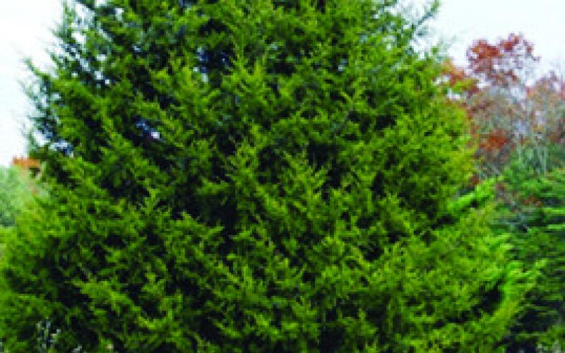 Red Cedar Water Conservation Bill Now Law