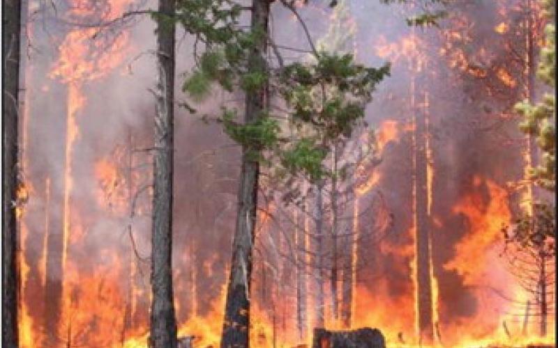 County Holds Fast on Burn Ban