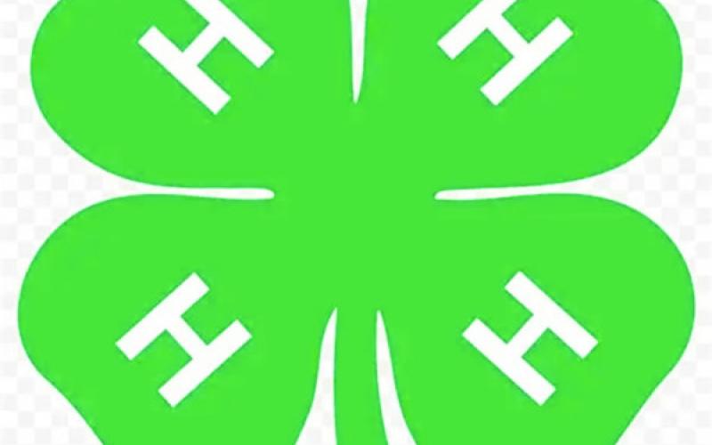 Calling All 4-H’ers
