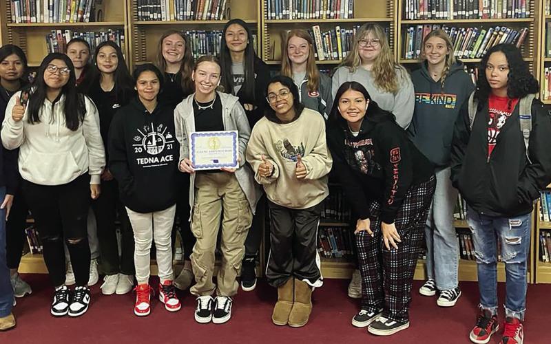 Lady Bison Win Academic Title