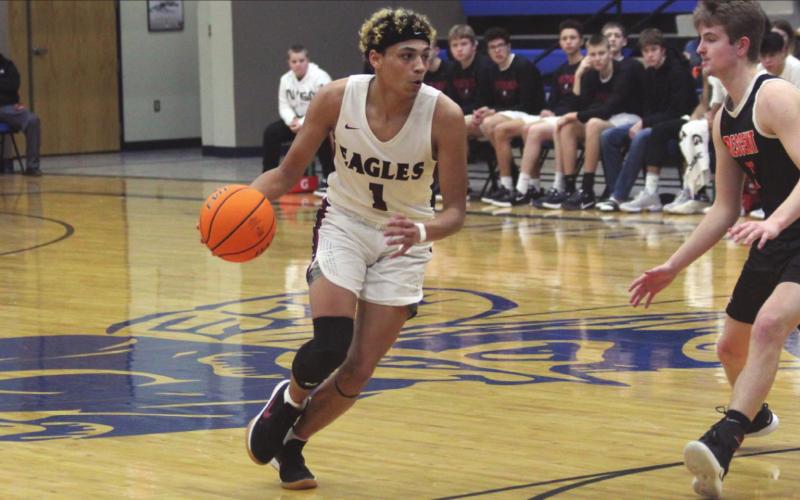 Two Lady Eagles, One Eagle Named to 2A West All-Star Basketball Team