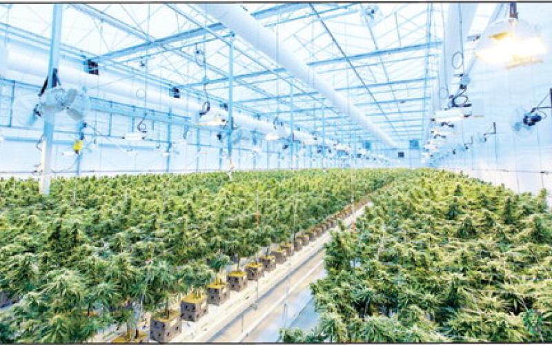 Although probably not state of the art as in this stock photo, the BCSO and more than 60 officers from the Attorney General’s specialized organized crime task force raided multiple grow houses in Western Blaine County May 21. Photo by Richard T Unsplash