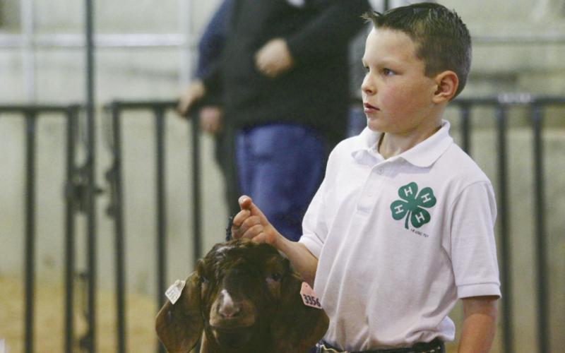 Showmen Take The Ring