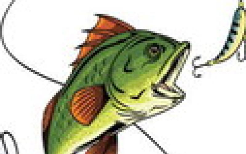 Fishing Report