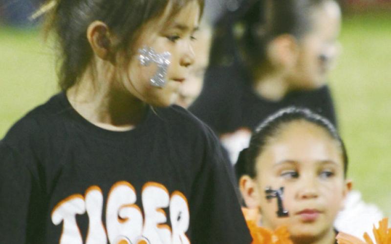 Tiger Nation