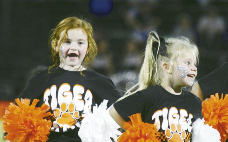 Tiger Nation