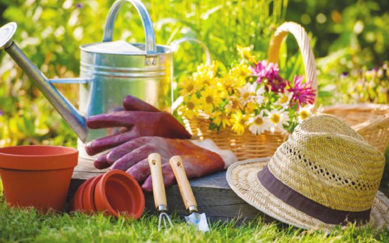 September Gardening Tips