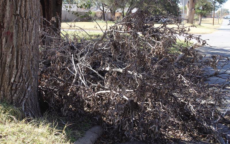 Soon the piles of limbs and brush from summer storms and fall cleanups around town will disappear courtesy of the city. An ordinance has been put in place, allowing city crews to pick up only piles of such debris, provided they are streetside and don’t contain any other trash or garbage.