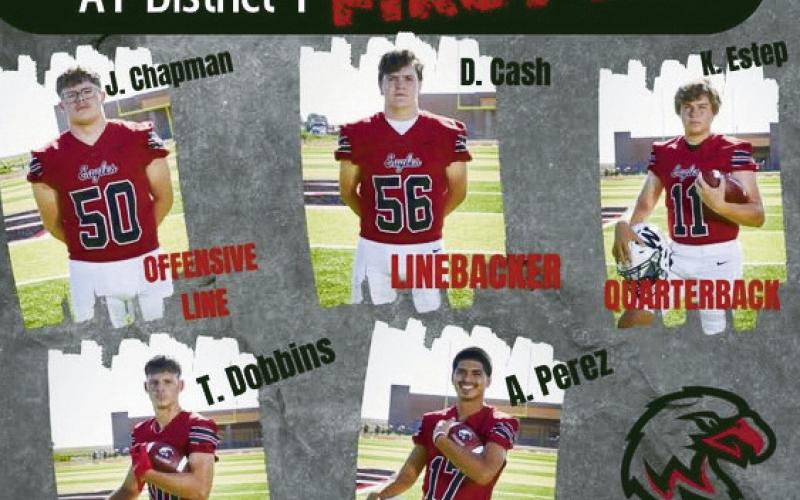13 Eagles Named All-District