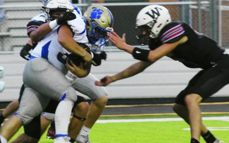 Bearcats Prove Too Much for Eagles
