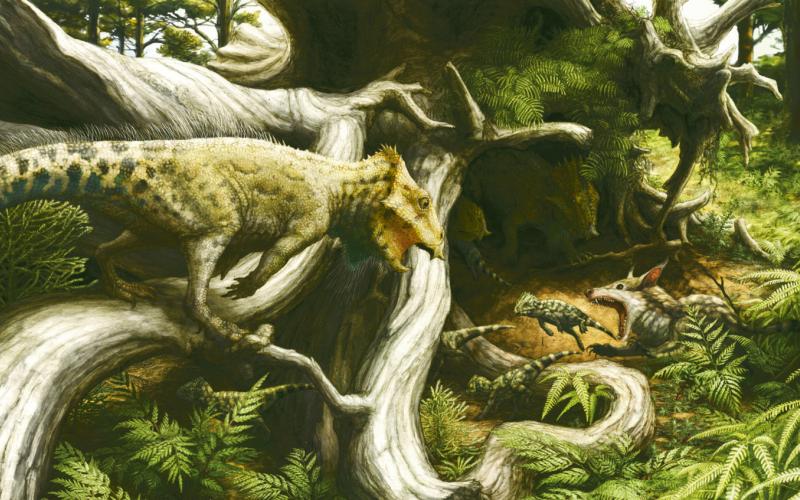Sam Noble researchers discovered the fossil of the Aquilops, shown here in a lifelike pose. The little dino is the star of Jurassic World: Rebirth, premiering at movie theaters nationwide in July. Illustration by Brian Engh LivingRelicProductions.com