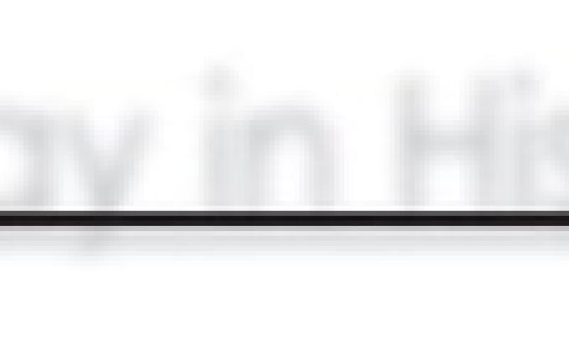 Alt Text for Image