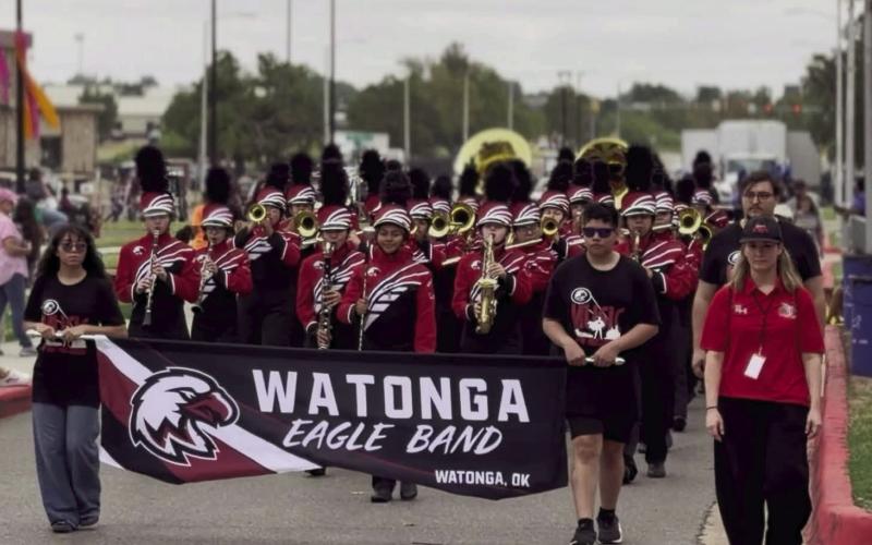 Eagles Spreading their wings