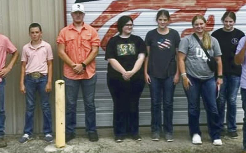 While Livestock Judging Gets Underway