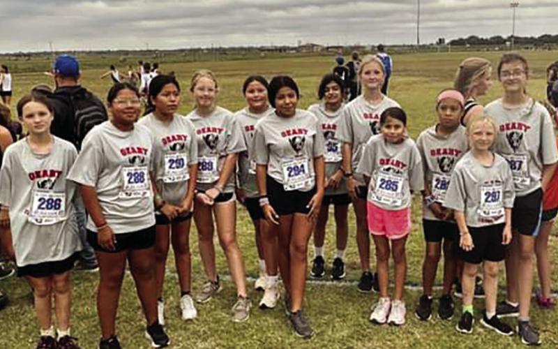 Fall Wrap up of Great Cross Country Season